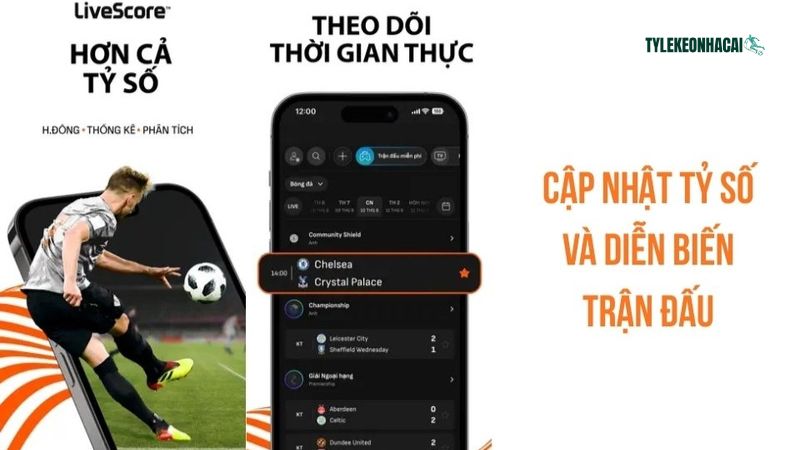 Độ bao phủ rộng