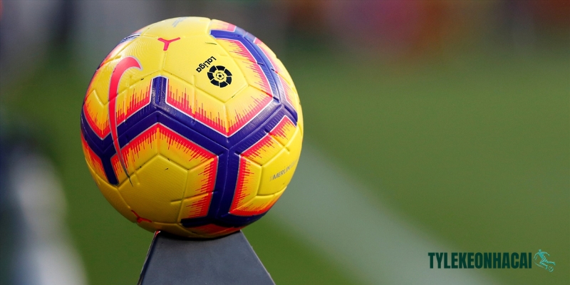 Khi trái bóng lăn, cảm xúc của cổ động viên Tây Ban Nha đều thăng hoa