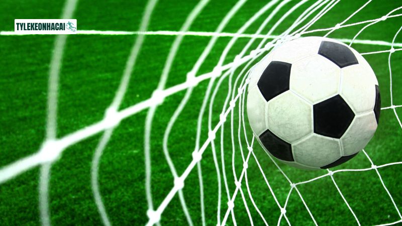 Trang Tỷ Lệ Kèo Nhà Cái