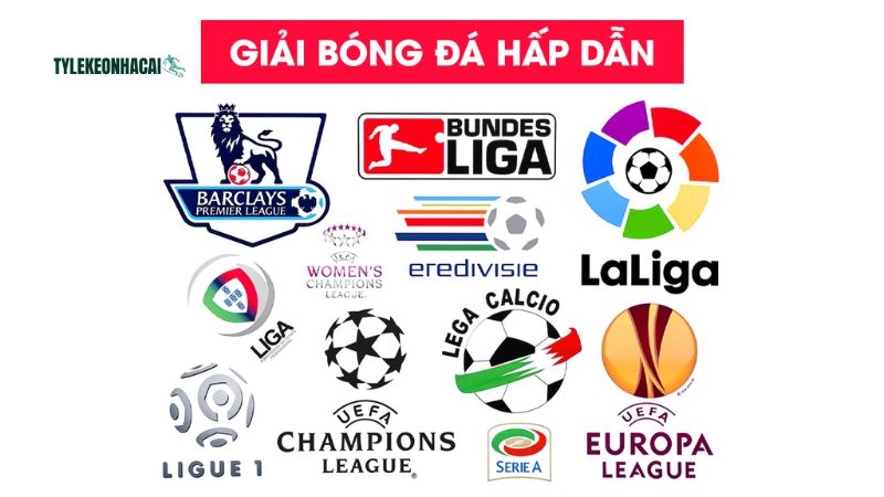 Trang kênh update lịch trình của mọi giải đấu