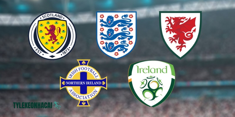 Euro 2028 có sức hút mãnh liệt như thế nào?